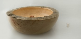 Schalen Zirbe