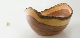Schale Zwetschke